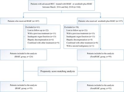 Hepatic Arterial Infusion Chemotherapy of Oxaliplatin, Fluorouracil, and <mark class="highlighted">Leucovorin</mark> With or Without Sorafenib as Initial Treatment for Advanced Hepatocellular Carcinoma